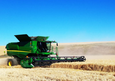 Monson Brothers Combine Wheat