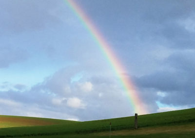Monson Brothers Farmland Rainbow