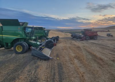 harvest 16