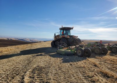 fall mowing 1