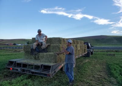 loading hay 1
