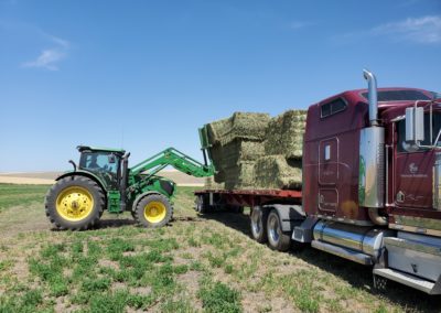 loading hay