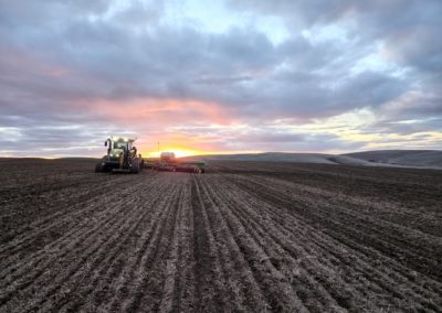 Seeding With a Majestic Sunset